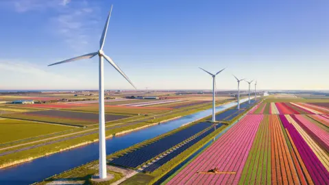 Netherlands’ renewables drive putting pressure on its power grid